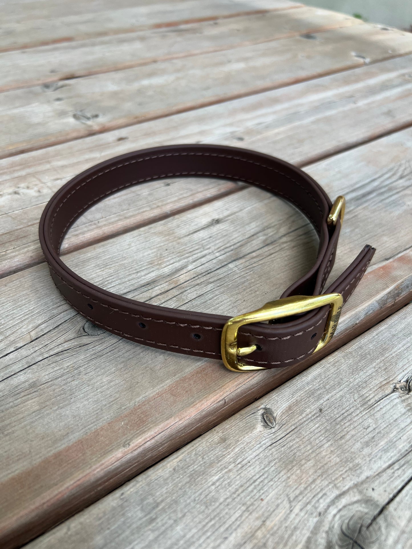 BioThane Dog Collar - IN STOCK
