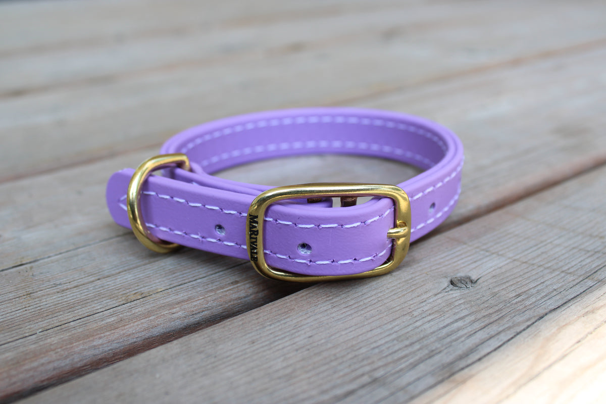 BioThane Dog Collar - IN STOCK
