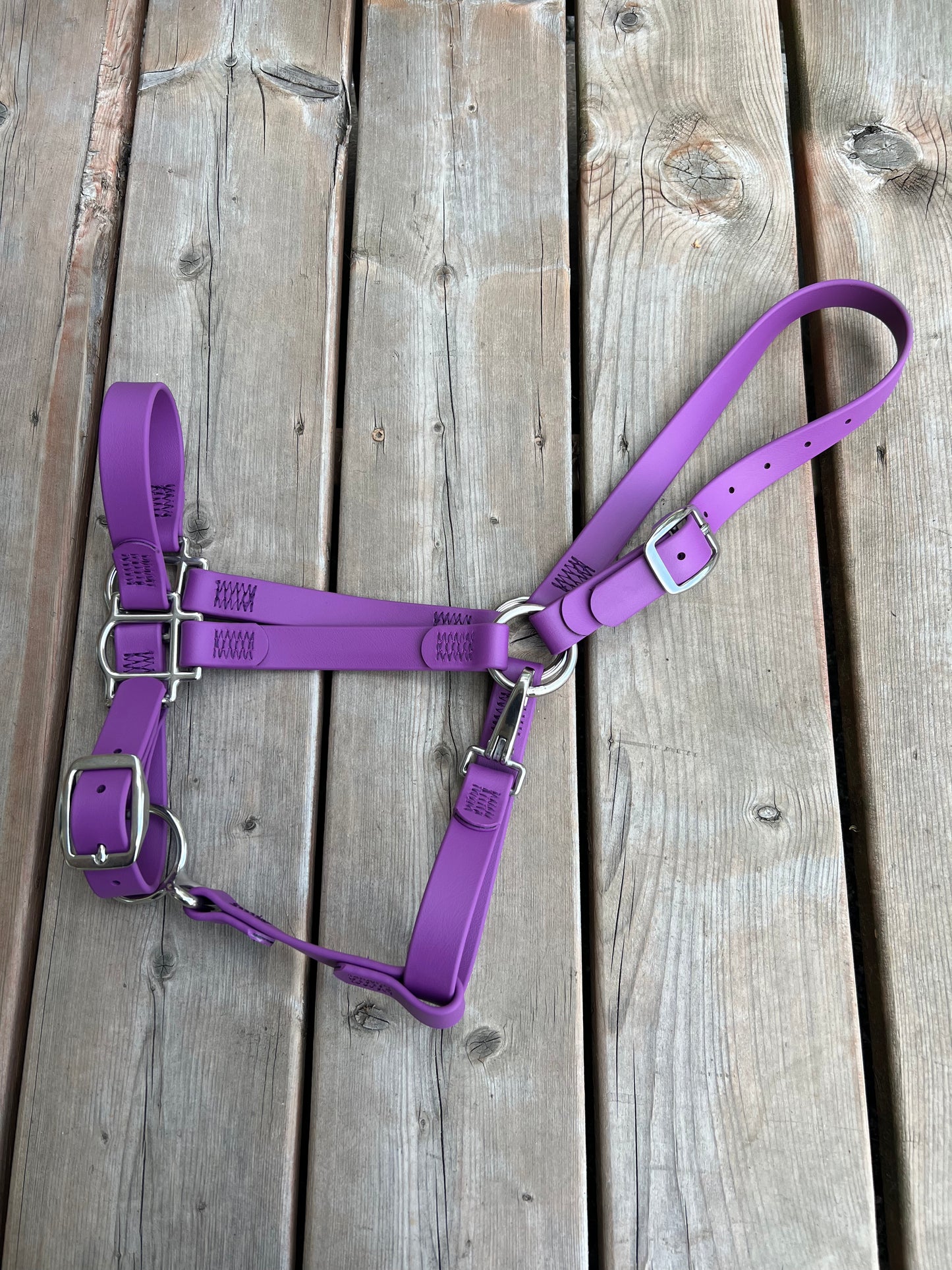 BioThane Horse Halter - IN STOCK