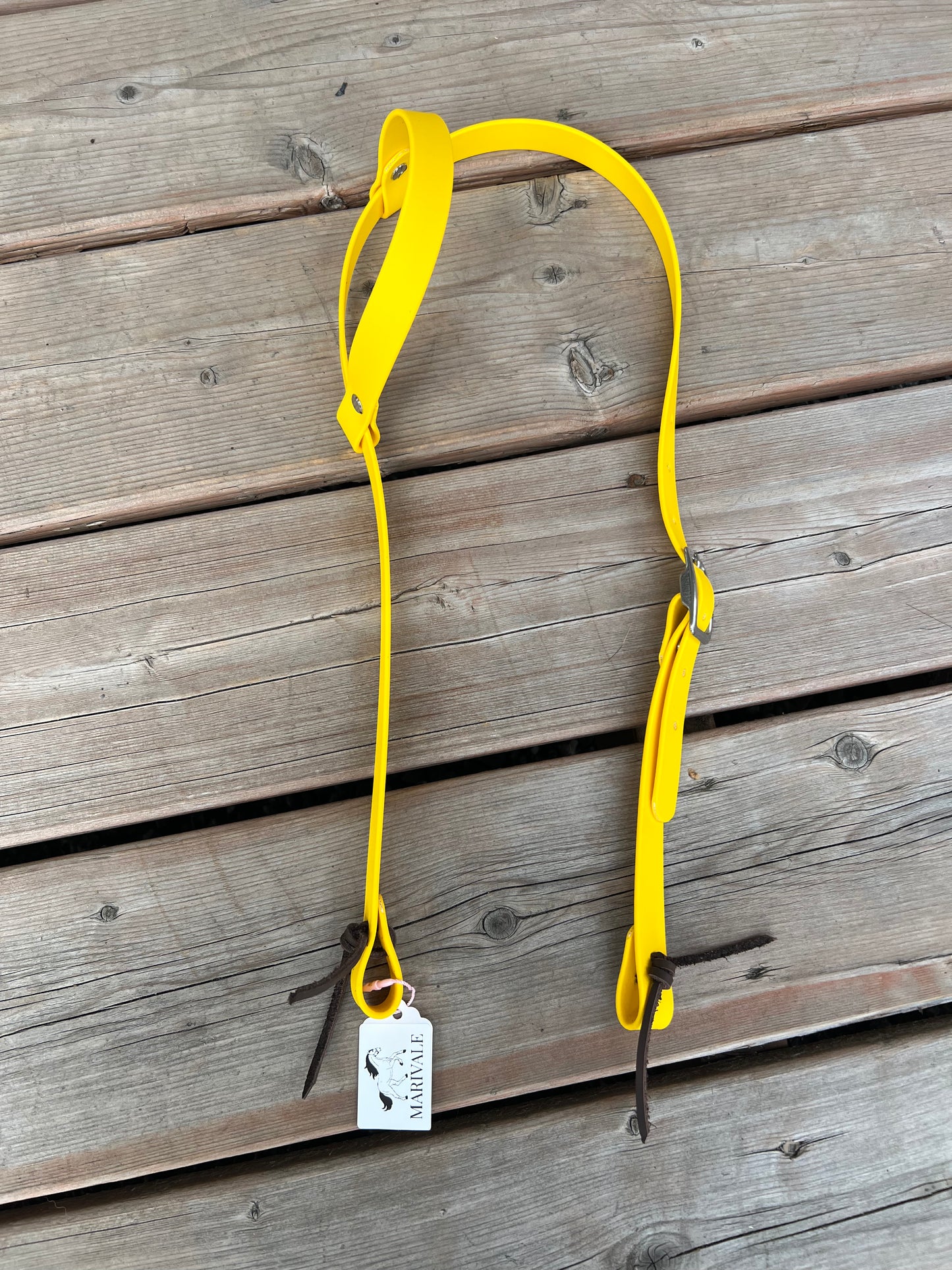 Bridon BioThane à une oreille, économique – EN STOCK