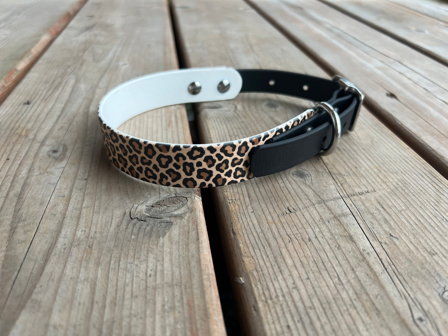 BioThane Dog Collar - IN STOCK