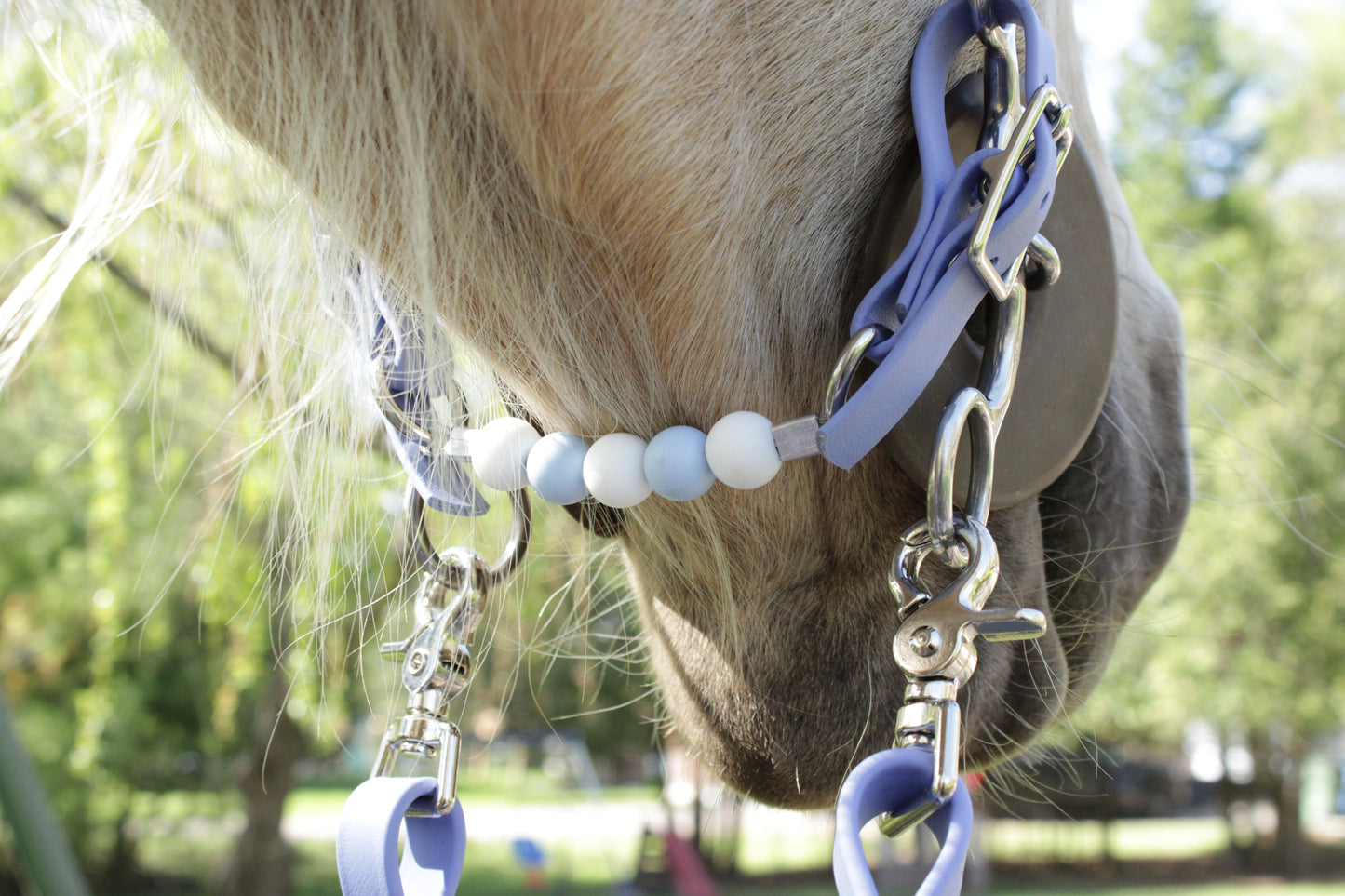 Beaded Silicone Curb Strap with BioThane